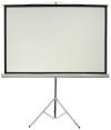Video Screen